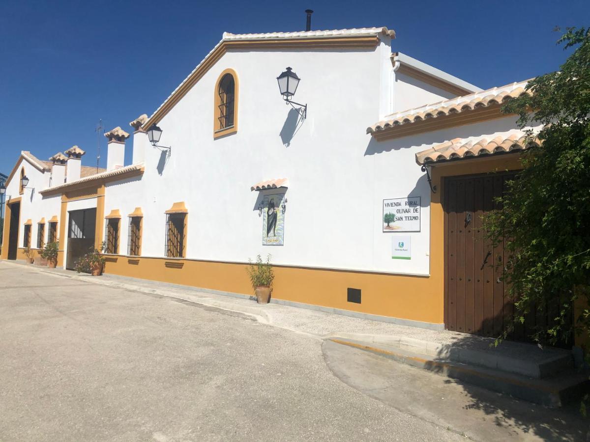 Vivienda Rural Olivar De San Telmo Arcos de la Frontera Εξωτερικό φωτογραφία
