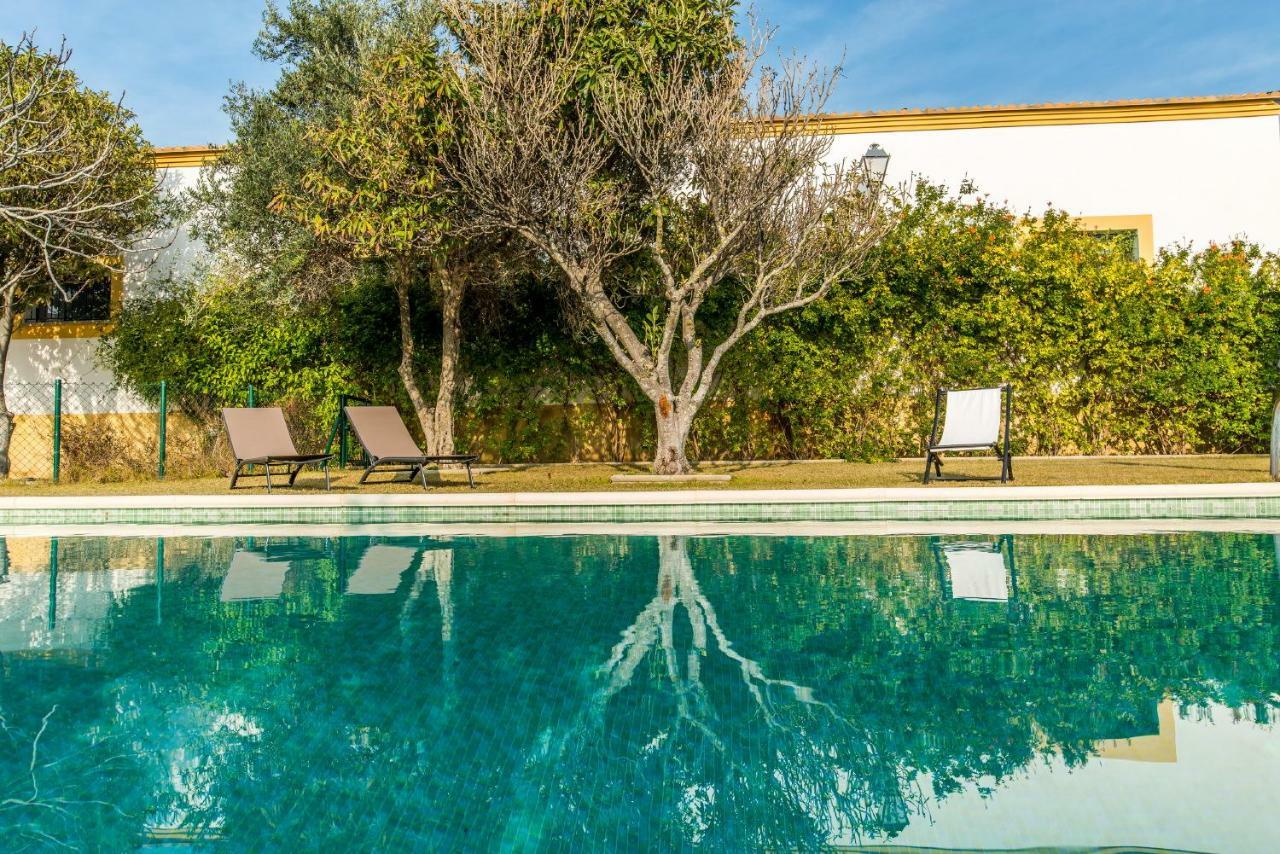 Vivienda Rural Olivar De San Telmo Arcos de la Frontera Εξωτερικό φωτογραφία