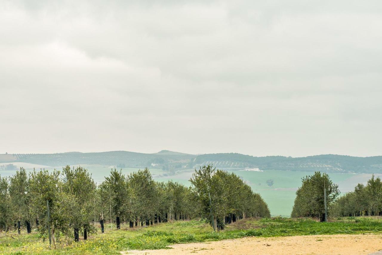 Vivienda Rural Olivar De San Telmo Arcos de la Frontera Εξωτερικό φωτογραφία