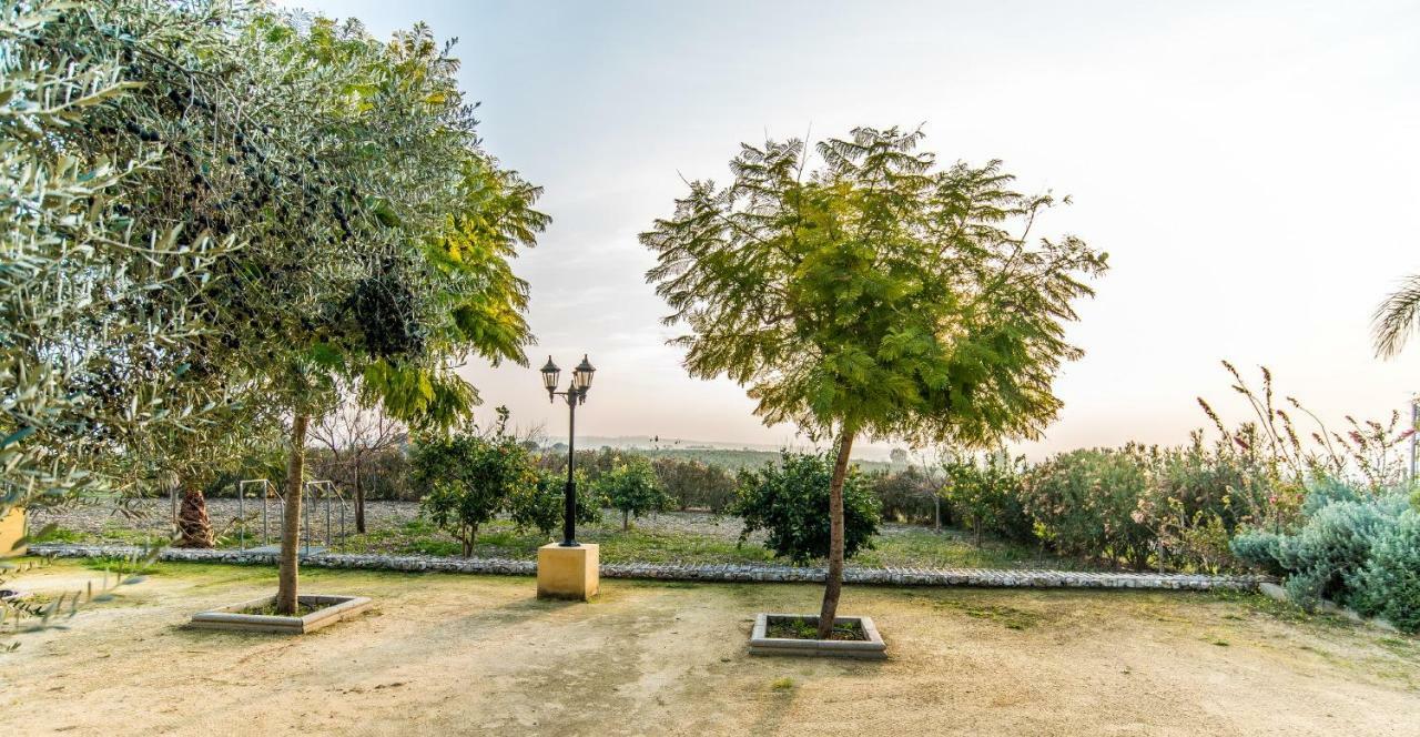 Vivienda Rural Olivar De San Telmo Arcos de la Frontera Εξωτερικό φωτογραφία